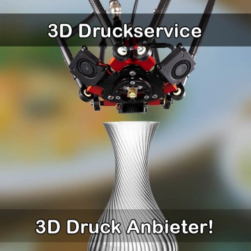 3D Druckservice in Ratzeburg