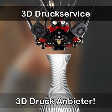 3D Druckservice in Rauenberg