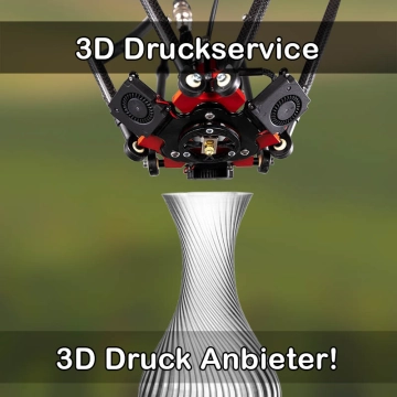 3D Druckservice in Reichenau