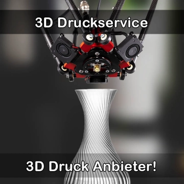 3D Druckservice in Reinbek