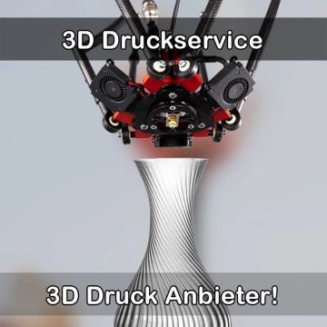 3D Druckservice in Reinfeld-Holstein