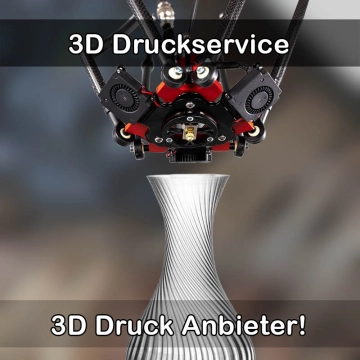 3D Druckservice in Rheinzabern