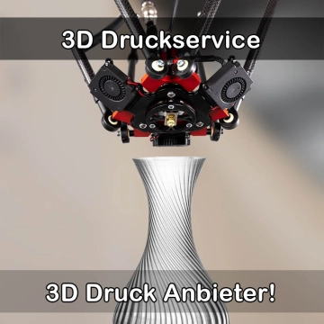 3D Druckservice in Rickenbach