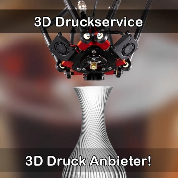 3D Druckservice in Rickling