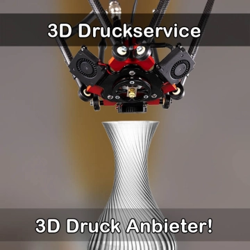 3D Druckservice in Riederich