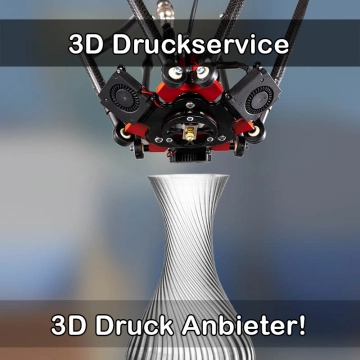3D Druckservice in Riedlingen