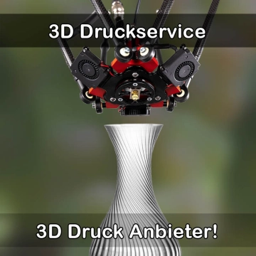 3D Druckservice in Riedstadt