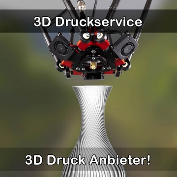 3D Druckservice in Rodenbach (Main-Kinzig-Kreis)