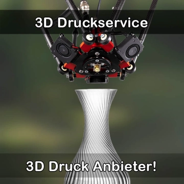 3D Druckservice in Sasbach am Kaiserstuhl