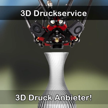 3D Druckservice in Sassenburg