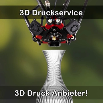 3D Druckservice in Satteldorf