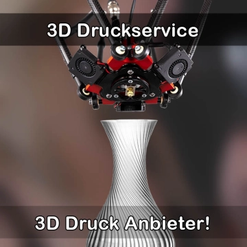 3D Druckservice in Schacht-Audorf