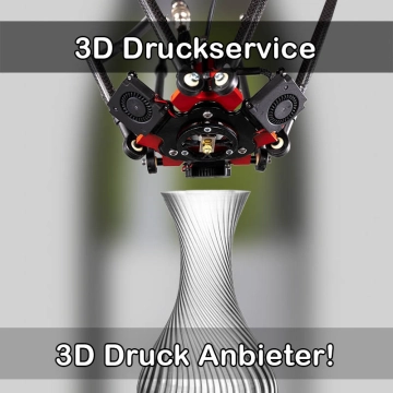 3D Druckservice in Schauenburg