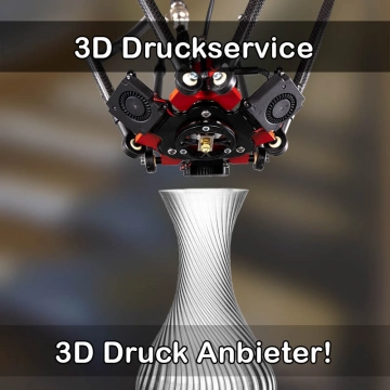 3D Druckservice in Scheidegg