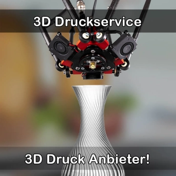 3D Druckservice in Schifferstadt