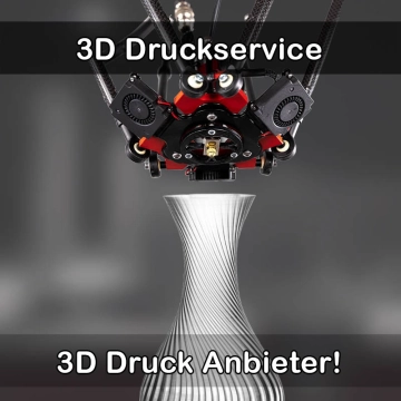 3D Druckservice in Schlangen
