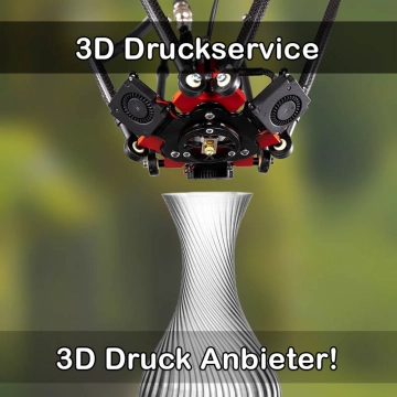 3D Druckservice in Schleswig