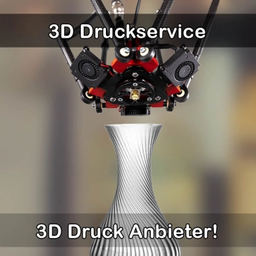 3D Druckservice in Schlüsselfeld