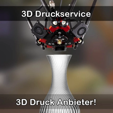 3D Druckservice in Schöllkrippen
