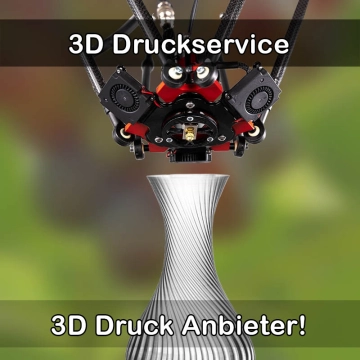 3D Druckservice in Schöntal