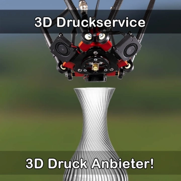 3D Druckservice in Schramberg