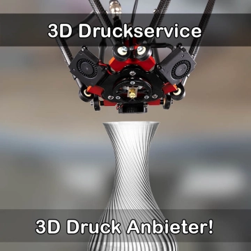 3D Druckservice in Schwanewede