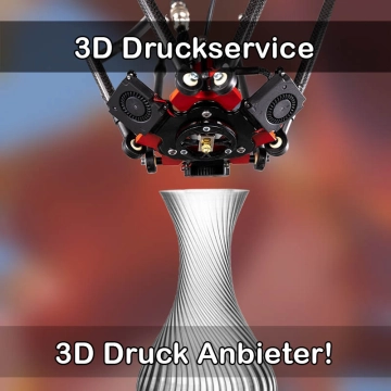 3D Druckservice in Schwegenheim