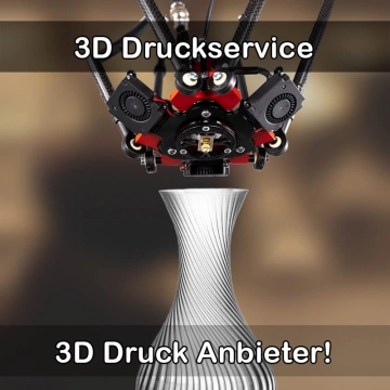 3D Druckservice in Schwentinental