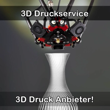 3D Druckservice in Selsingen