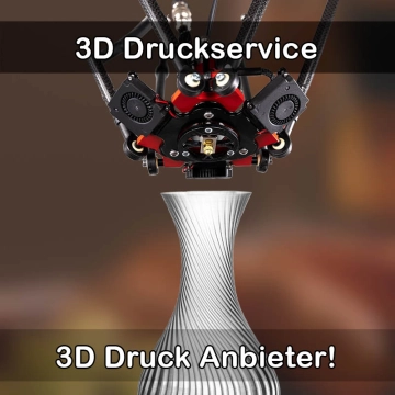3D Druckservice in Sinzheim