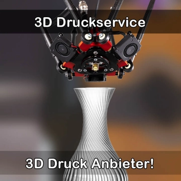 3D Druckservice in Stadthagen