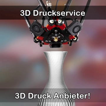 3D Druckservice in Stadtlauringen