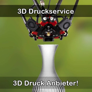 3D Druckservice in Süderbrarup