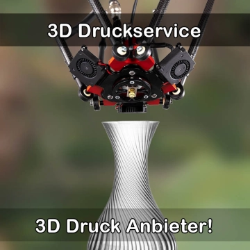 3D Druckservice in Sülfeld