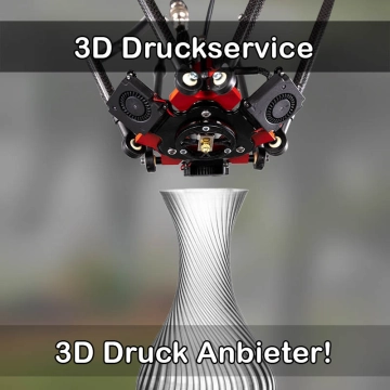 3D Druckservice in Surberg