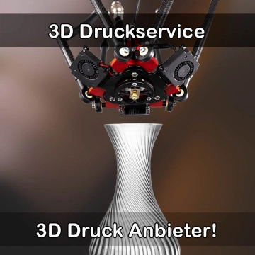 3D Druckservice in Tanna