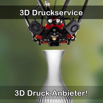 3D Druckservice in Tholey