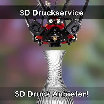 3D Druckservice in Ueckermünde
