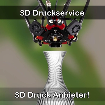 3D Druckservice in Uelsen