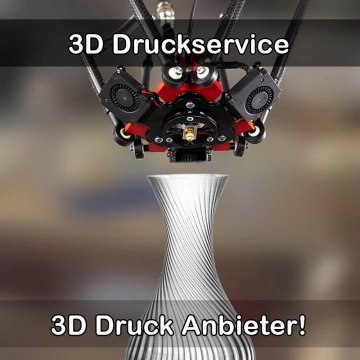 3D Druckservice in Unstruttal