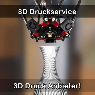 3D Druckservice in Unterpleichfeld