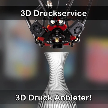 3D Druckservice in Uplengen