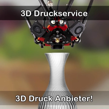 3D Druckservice in Vordorf