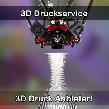 3D Druckservice in Waibstadt