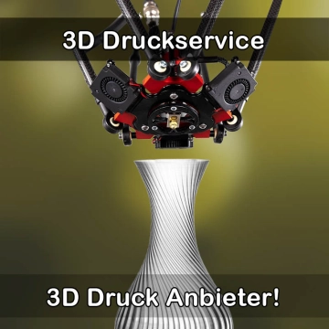 3D Druckservice in Wasserlosen