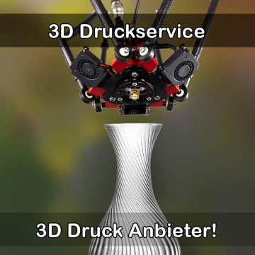 3D Druckservice in Weyhe