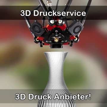 3D Druckservice in Wilster