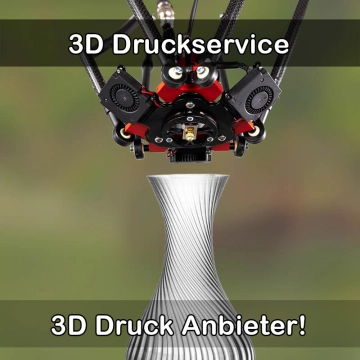 3D Druckservice in Winnweiler