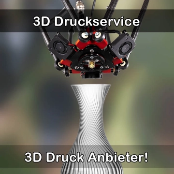 3D Druckservice in Wismar