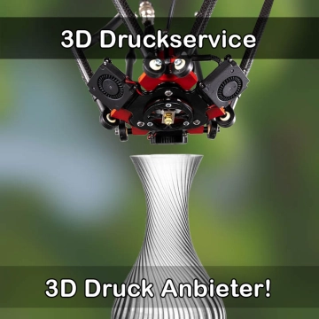 3D Druckservice in Wolgast